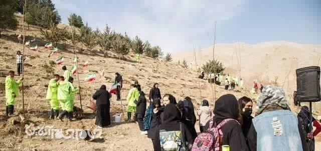 آغاز کاشت ۴۵۰۰ اصله نهال در بش‌قارداش توسط شهرداری بجنورد