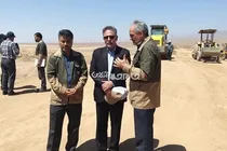 ۴۰۰ هزار نهال در دامغان تولید شد
