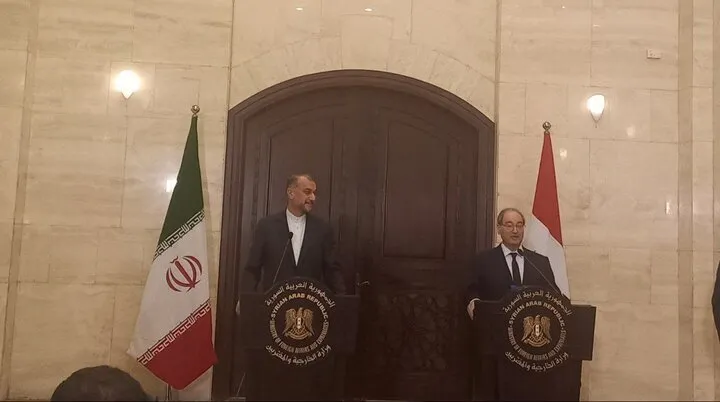 امنیت کشور‌های منطقه دغدغه مشترک تهران و دمشق است‌