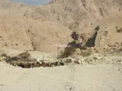 چوب حراج بر سر مراتع راهدار