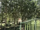 مادی مطهری با ۹ میلیارد ریال اعتبار ساماندهی می‌شود