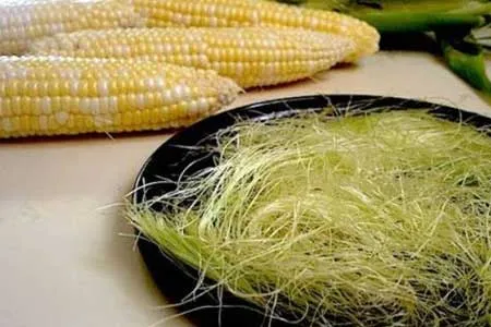 بررسی تاثیر کاکل ذرت در دفع سنگ‌ کلیه