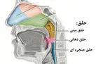 راهکارهای خلاصی از خلط یا ترشحات پشت حلق