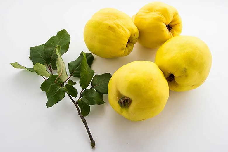 آشنایی با خواص شگفت‌انگیز به