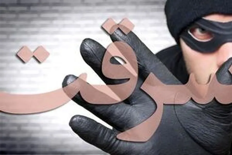 سرقت از زنان در بهشت زهرا با روش خفه‌کنی