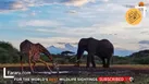 ببینید | مرگ در لحظه تشنگی