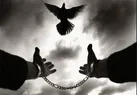 خوابی برای بخشش قاتل پدر