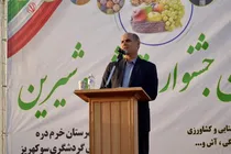 برگزاری جشنواره‌های روستایی در ۱۵ نقطه زنجان