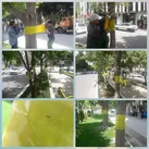 برای اولین بار در شهر کرمانشاه انجام شد