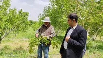 آغاز عصری نوین برای کشاورزی چهارمحال و بختیاری