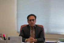 آغاز برداشت گندم از ۴۳۵ هزار هکتار اراضی همدان