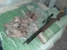 دستگیری شکارچیان غیرمجاز در سیرجان 