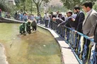 بازی آخر