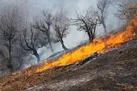 آتش بار دیگر در «پارک ملی تندوره» درگز زبانه کشید