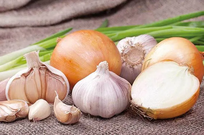 همه‌چیز درباره ویژگی‌های شگفت‌انگیز سیر و پیاز