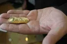 ثبات و آرامش بازار طلا در هفته نخست آذرماه | ایجاد تعادل در بازار با اوراق ارزی بانک مرکزی