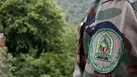 حمله قاچاقچیان چوب به جنگلبان در نور