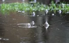 پیش بینی بارش باران در لرستان
