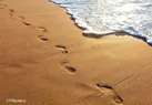 گلنار در لباس سفید عروس