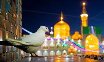 سنگ‌بنای پژوهش‌های تحلیلی در سیره رضوی