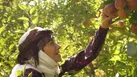 آغاز پخش سریال مادران از جمعه ۱۱ اردیبهشت در شبکه یک سیما