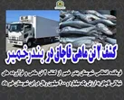 کشف 2 تن ماهی قاچاق در  بندرخمیر