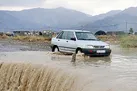 تکثیر باکتری‌ها برای نجات اقلیم زمین
