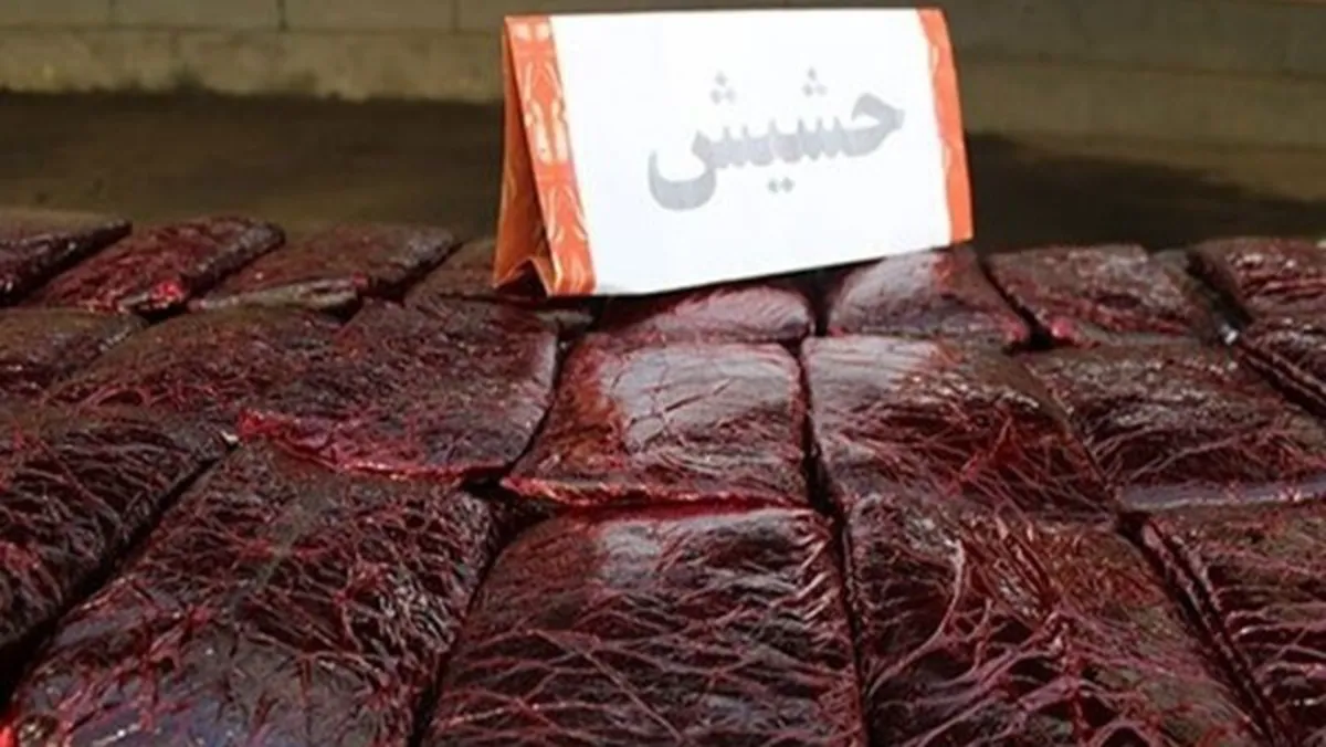 کشف ۹۳۵ کیلو حشیش از یک باغ در حاشیه مشهد