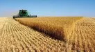 طرح جهش تولید در دیمزارهای خوزستان اجرا شد