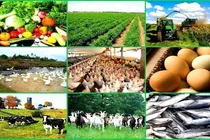 کشاورزی، دامداری و شیلات، مثلث طلایی تولید