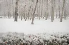 بارش برف و باران در ۱۰ استان