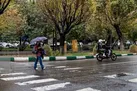 کاهش دما و بارش باران و برف در پایتخت