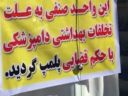 معرفی ۹۰ واحد عرضه کشتارغیرمجاز در ایلام به مراجع قضایی طی سه ماهه دوم امسال