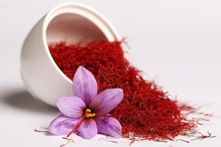 توسعه چشمگیر کشت زعفران در فامنین