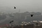 هشدار هواشناسی نسبت به آلودگی هوای تهران و کرج