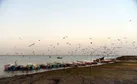 نگینی بکر در سواحل مکران با ظرفیت گردشگری بین‌المللی