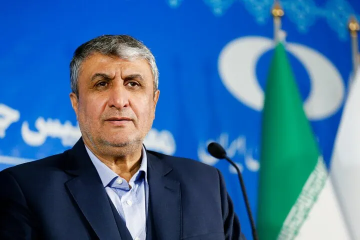 نیمی از موارد باقی مانده با آژانس بین‌المللی انرژی اتمی حل و فصل شد