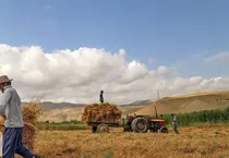 توسعه روستا‌های فارس زیر چتر تعاونی‌ها