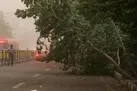 احتمال وزش باد شدید و رگبار و گردوخاک در استان تهران