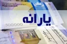 تورم اجرای طرح اصلاح یارانه‌ ها کمتر از ۱۰ درصد است