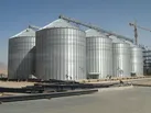 ۴۲ مرکز خرید گندم در ایلام آماده سازی شده است
