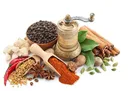راهکارهای طب سنتی برای بهبود علائم کرونا