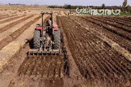 کشت پاییزه در ۷۰۰ هزار هکتار از اراضی آذربایجان شرقی