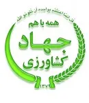 کشت یک هزارو 700 هکتار کلزا در همدان
