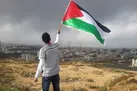 ما، غزه و حالا سینما