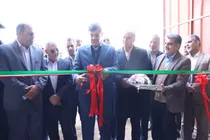 افتتاح فاز یک پروژه پرورش گوسفند داشتی پرتولید (مگافارم) در شهرستان مهریز