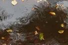 بارش برف و باران از امشب آغاز می‌شود