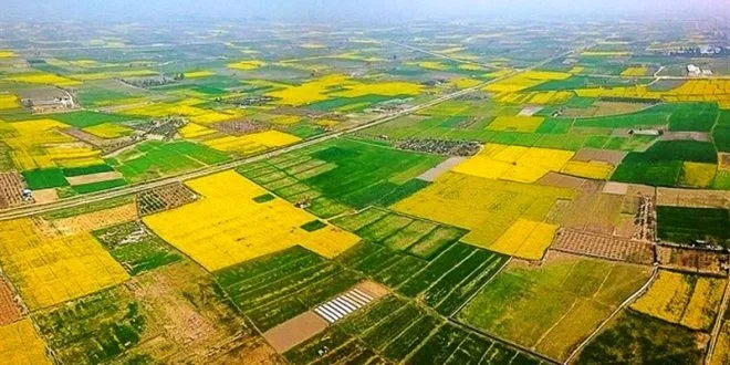 خلع‌ید ۷۵۴ هکتار اراضی ملی و دولتی در اندیمشک