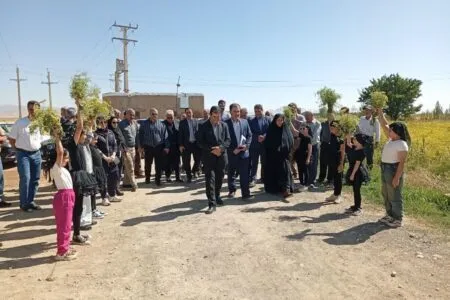 ششمین جشنواره برداشت رازیانه در رزن برگزار شد