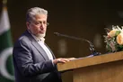  هدف حکمرانی علوی رسیدن به یک حالت پویا است